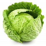 Cabbage