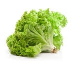 Lettuce